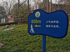 -西安市长乐公园