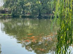 -西湖外事游船(湖滨二公园外事游船码头)