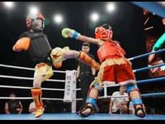 -津武堂散打搏击俱乐部(河西店)