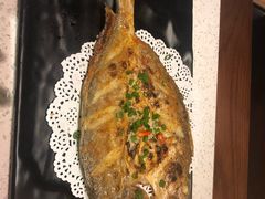 -九府羊·鲜羊火锅·烤串(新华路店)