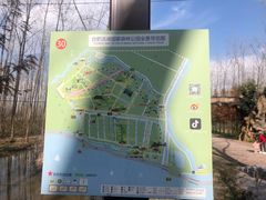 -合肥滨湖国家森林公园