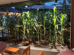 -黄山老妈·土菜(碧桂园店)
