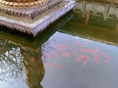 -黔灵山公园