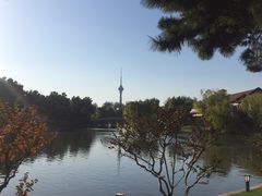 -钓鱼台国宾馆