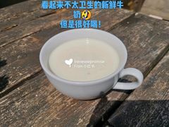 -柯尼希湖