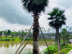 -枫香湖儿童公园