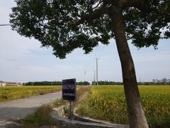 -韩湘水博园