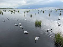 -花湖生态旅游区