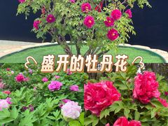 -太阳宫公园