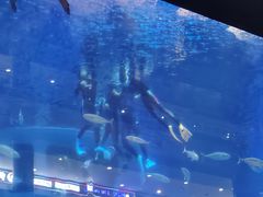 -成都浩海立方海洋公园