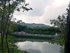 -大屏嶂森林公园