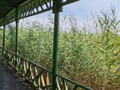 -处女泉风景名胜区