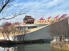 -合肥滨湖国家森林公园