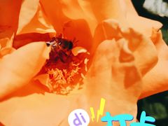 -博望坡酒楼(漕溪路店)