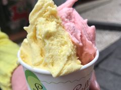 -柠檬车露(卖草地店)