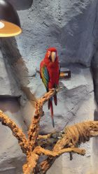 -Zoolung Zoolung动物主题公园(海信广场店)