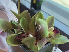 -大鸭梨烤鸭(金色漫香店)