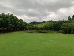 -裸心谷·裸心味餐厅