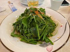 白灼丝瓜尖-渔娘渔家丹东海鲜(东直门店)