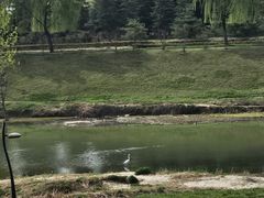 -洨河生态公园