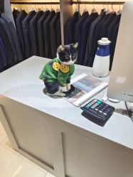 -ChenV西服礼服高级定制(市区养育巷店)