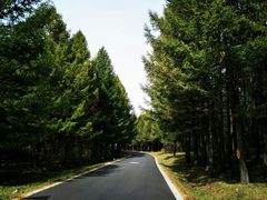 -塞罕坝国家级自然保护区