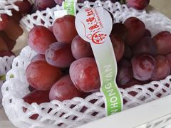 -马陆小张葡萄园农家乐