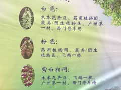 -华南国家植物园-售票处