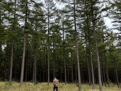 -塞罕坝国家级自然保护区