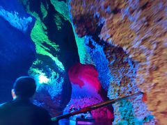 -寻龙山风景旅游区