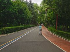 -长春市南湖公园