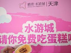 -鹏欣水游城