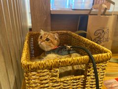 -寸屋拉面(凯德晶萃店)