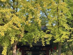 -碑林公园
