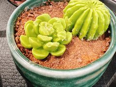 -鲜芋仙(太原街万达店)