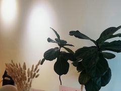 -左悦·艾灸调理·推拿按摩·精油SPA(卓悦汇店)