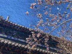 -碑林公园