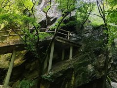 -牛背梁国家森林公园