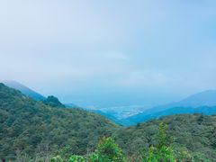 -广州市流溪河国家森林公园