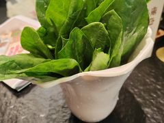 -阳坊涮肉(西直门凯德mall店)