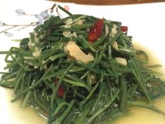 酸酸蒜蓉拌沙葱-西域阿里马新疆菜·清真(桂花路店)