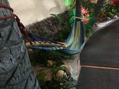 -泉城欧乐堡戏水湾艺术养生温泉