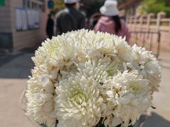 -济南战役纪念馆(济南革命烈士陵园)