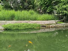 -成都市活水公园