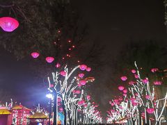 -大雁塔北广场音乐喷泉