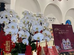 -杜哈夫DOUX RÊVE·生日蛋糕(日月光店)