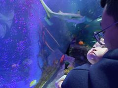 -沈阳海洋探索中心