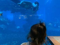 -海棠湾洲际-涛·海底餐厅·美人鱼·自助餐·海底隧道