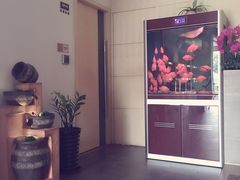 -宫七SPA·高端Massage(浦东大道店)