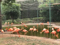 -石家庄市动物园